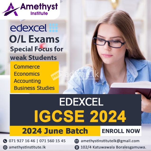 Edexcel IGCSE O/L Commerce Accounting Business Economics Classes