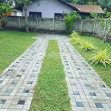 Landscaping and garden services