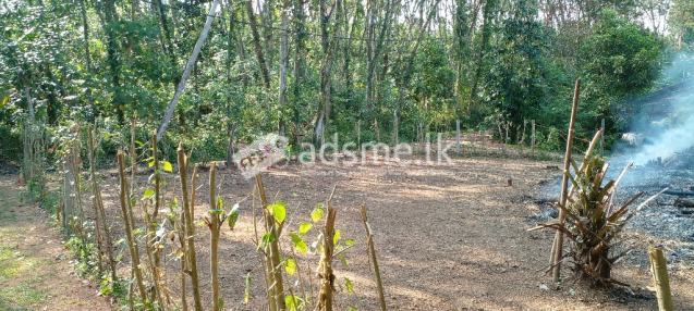 Land For Sale In (Kidelpitiya, Bandaragama)
