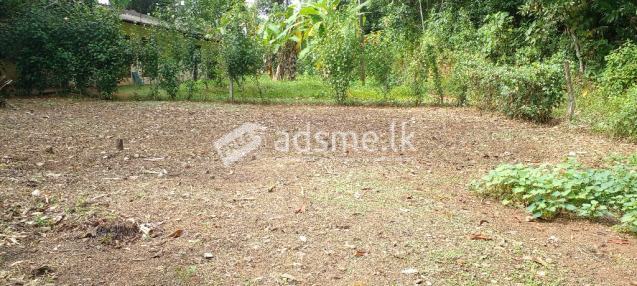 Land For Sale In (Kidelpitiya, Bandaragama)