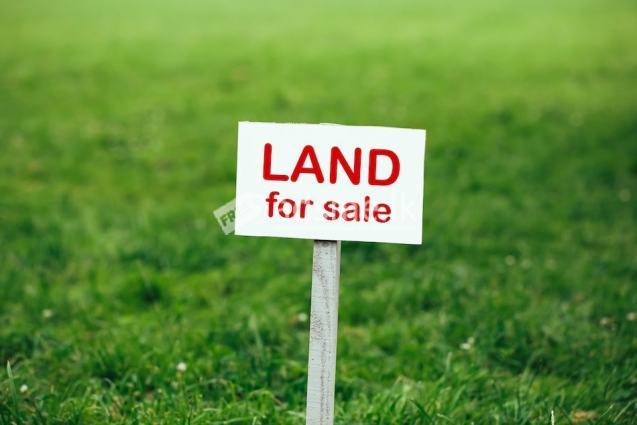 Land For Sale In Boralesgamuwa