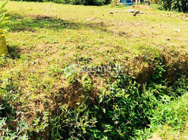 LAND FOR URGENTLY SALE
