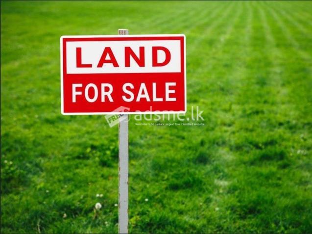 Land for Sale - Badulla | බදුල්ල නගරය  අසළ ඉඩමක් වහාම විකිණීමට