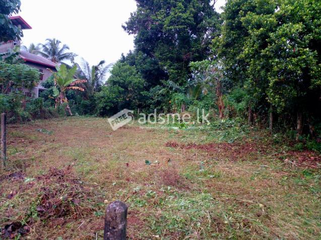 12 Perches Land for Sale Homagama, Panagoda