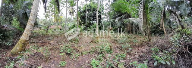 Land for Sale in Galle, Walahanduwa / ගාල්ල, වලහන්දූවේ ඉඩමක් විකිණීමට