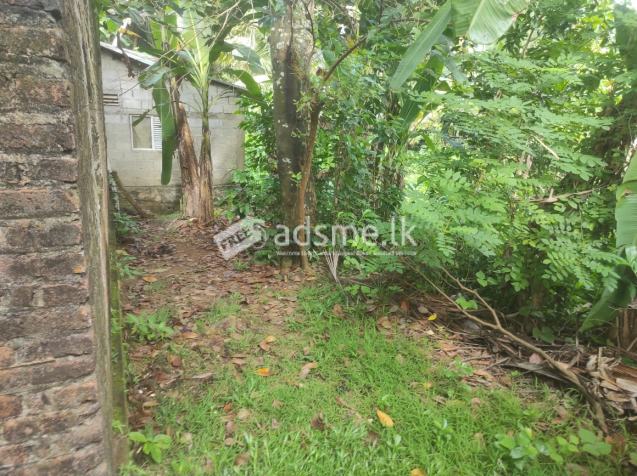 01 Story House for Sale in Piliyandala - 14 Perches