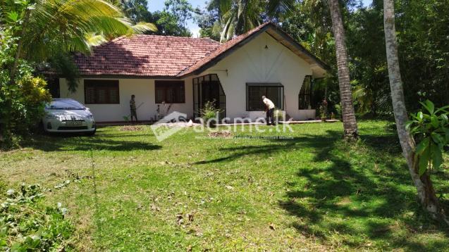 Land & House for sale in bentota