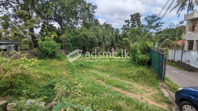Land for sale in Piliyandala