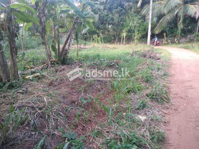 Land for Sale - Mirigama