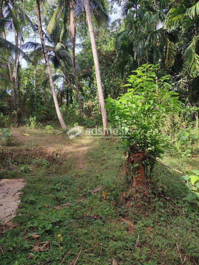land with 3 bedroom house for sale