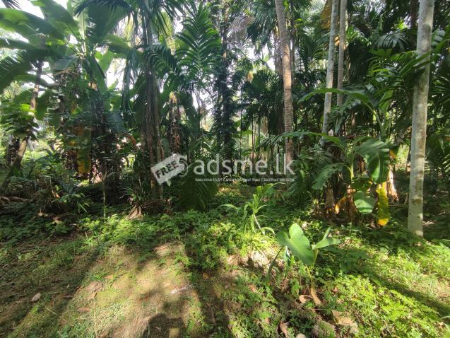 land with 3 bedroom house for sale