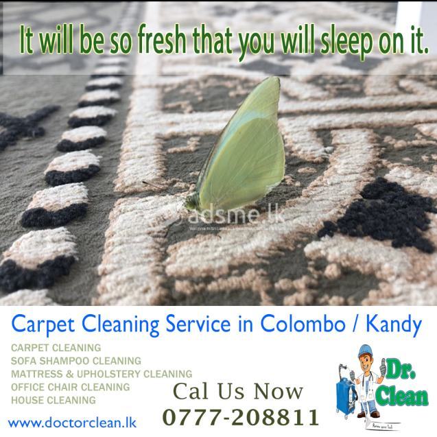 sofa /Mattress / carpet / chair shampoo cleaning - wet And dry cleaning