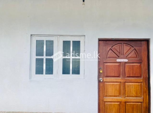 House for Renting in Borella