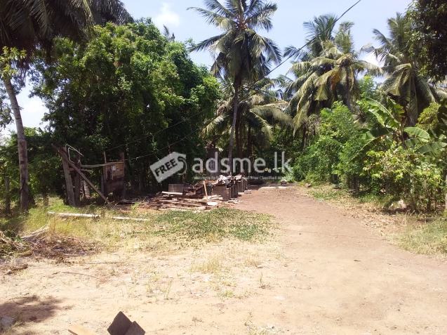 Land in chilaw