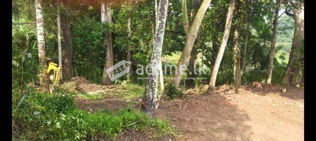 Land for sale in Kundasale