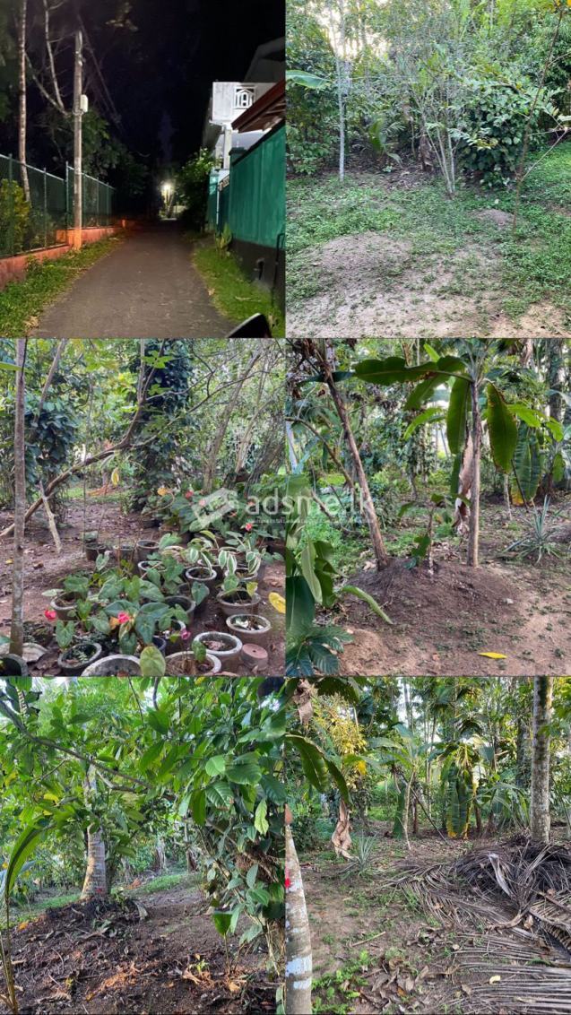 Land for sale in Maha Gonaduwa, Moronthuduwa
