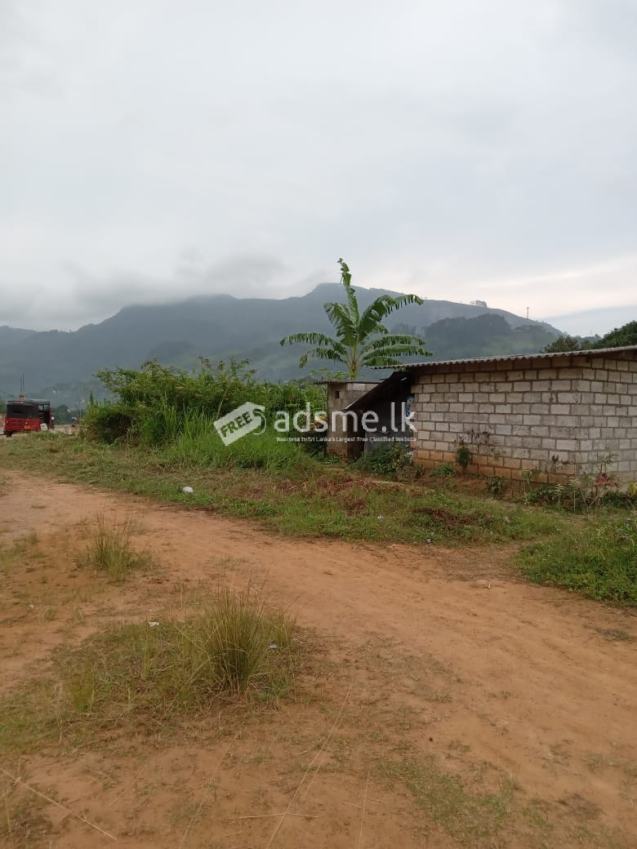 Land for sale in Nawalapitiya