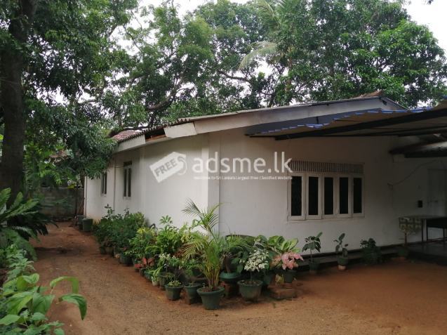 Land for sale Anuradapura