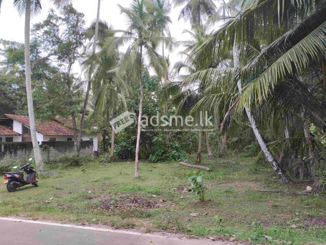 Land for sale Katana (8.5 KM from Negombo)