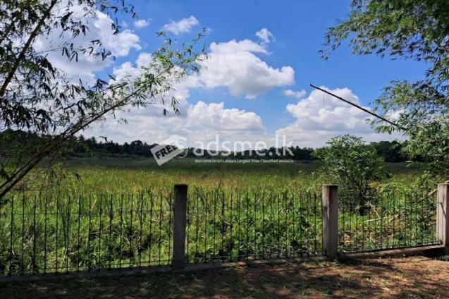 60 Perches Land for Sale in Katunayake.
