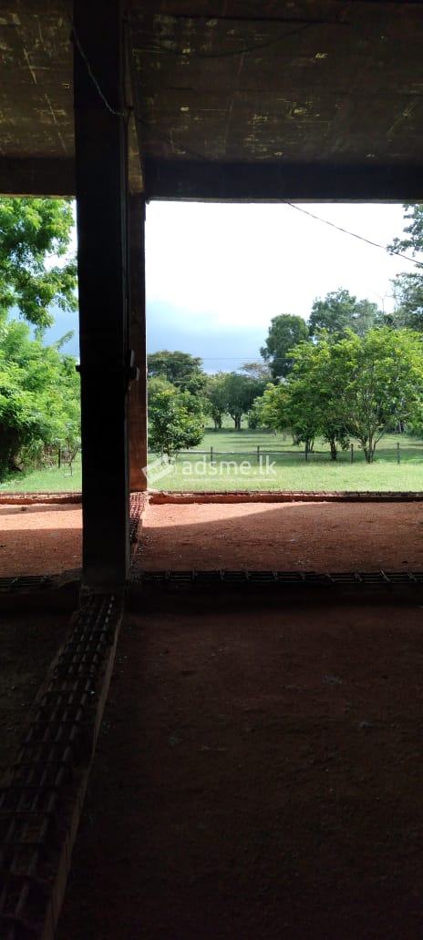 Commercial property for sale in Anuradhapura