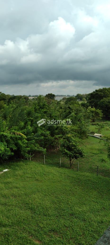 Commercial property for sale in Anuradhapura