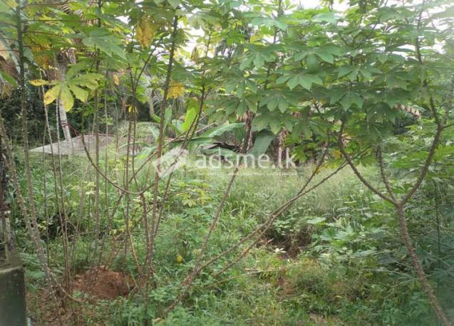10 Perches Land For Sale At Parackrama mawatha, Hokandara.