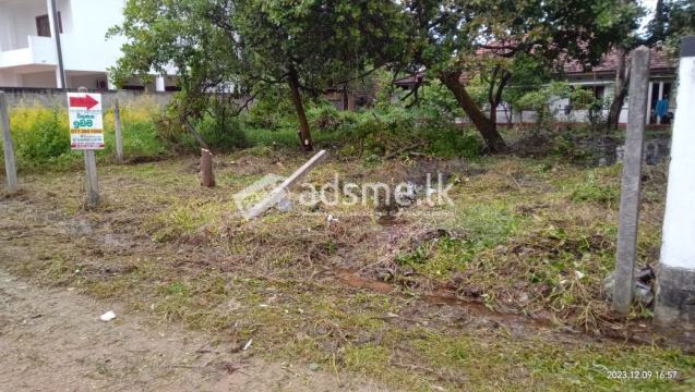 A Residential Land For Sale In Ja- Ela.