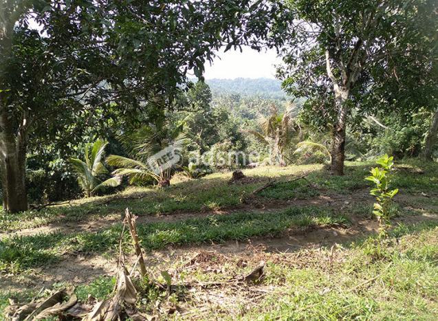 A Valuable 10 Acres Land for Sale in Rambukkana Road, Kegalle.