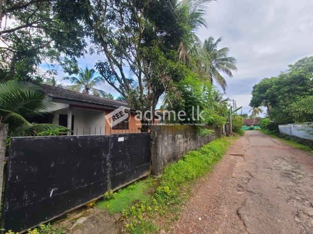 Valuable Property for Sale at Kidagammulla, Gampaha.