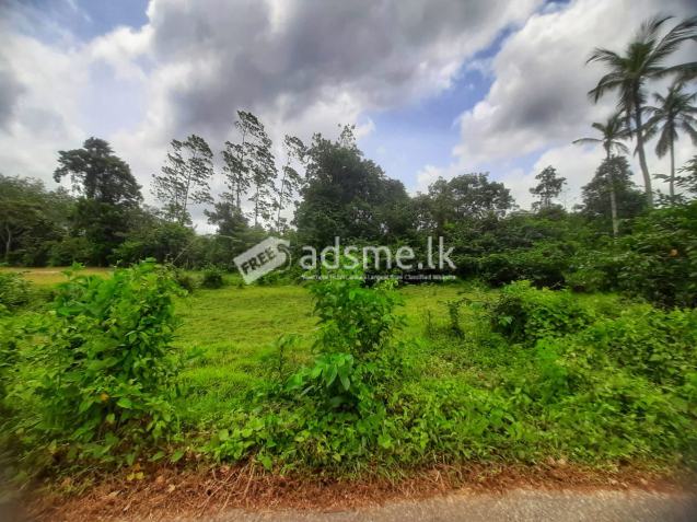 45 Perches Residential Land for Sale in Horana