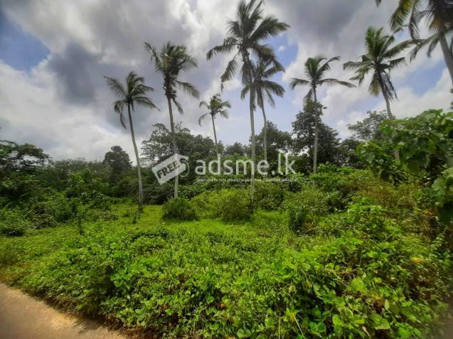 45 Perches Residential Land for Sale in Horana