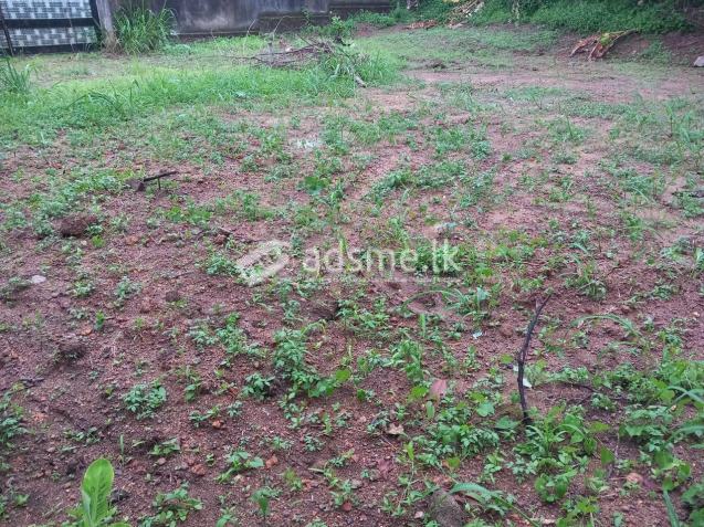 Land plots with a house at Gampaha, Asgiriya.