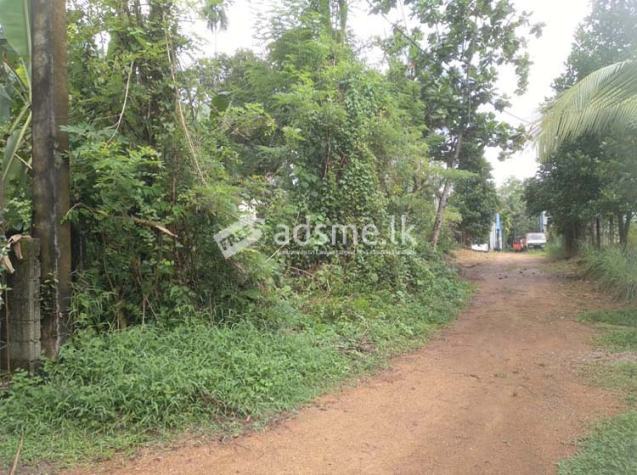 13 Perches Bare Land for Sale at Weliveriya.