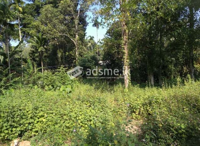 103 Perches Land available for Sale in Wataddara, Veyangoda.
