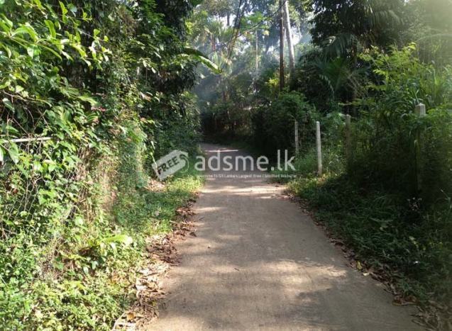 103 Perches Land available for Sale in Wataddara, Veyangoda.