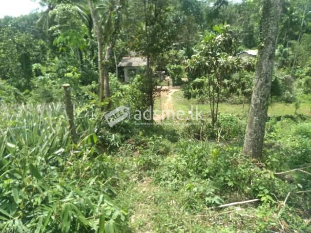 Land For Sale In Padukka