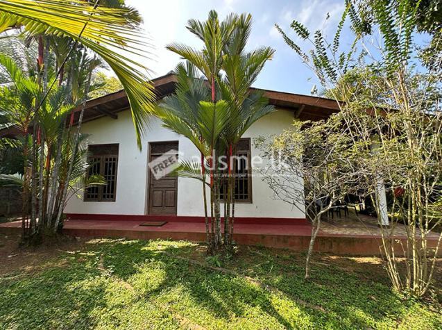 Multi-Purpose Houses for Sale at Aluthgama, Kalutara.
