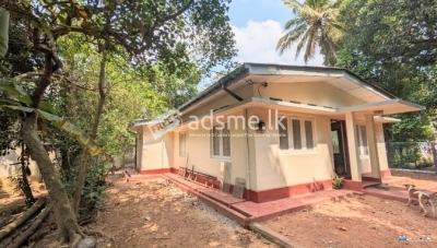 House for Rent at Piliyandala