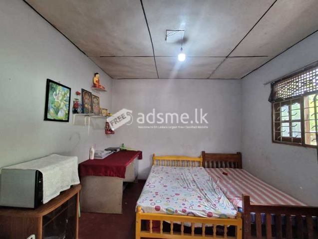 Three-Bedroom House in Naranwala, Weliveriya