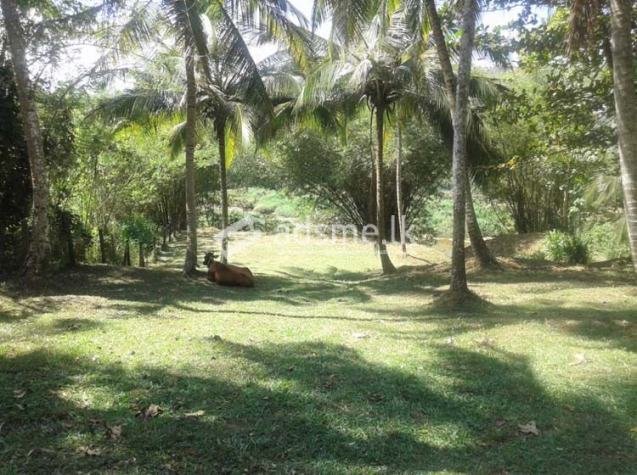 A Valuable Land adjoining Ma-Oya with a beautiful Bungalow for sale at Polgahawela.