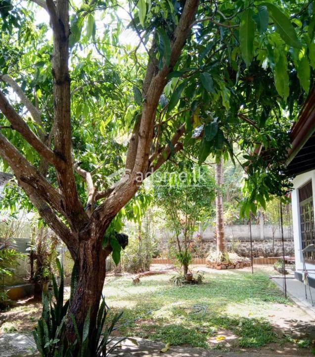 House for sale in Uyandana, Kurunegala