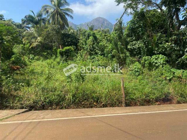 19 Perches of bare Land for Sale in Naula, Matale.