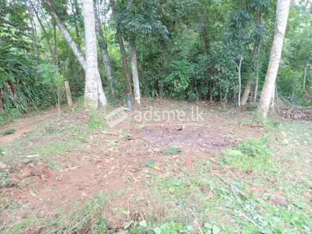 13.5 Perches of Land for Sale at Mawalgama, Hanwella.