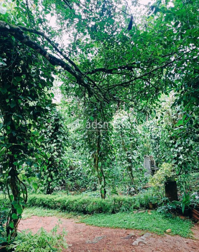 House For Sale In Horana