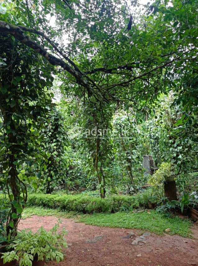 House For Sale In Horana