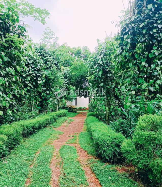 House For Sale In Horana