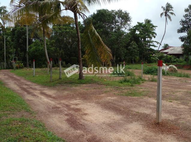 05 Land blocks for Sale in Kalahugoda, Minuwangoda.