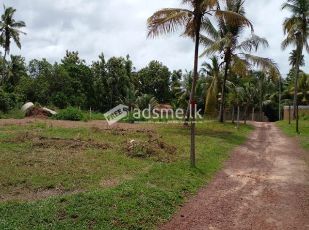 05 Land blocks for Sale in Kalahugoda, Minuwangoda.