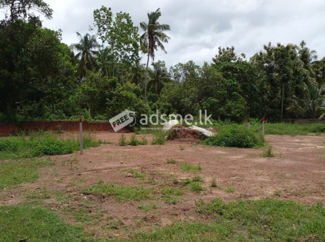 05 Land blocks for Sale in Kalahugoda, Minuwangoda.